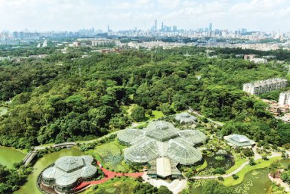 Guangzhou South China Botanical Garden